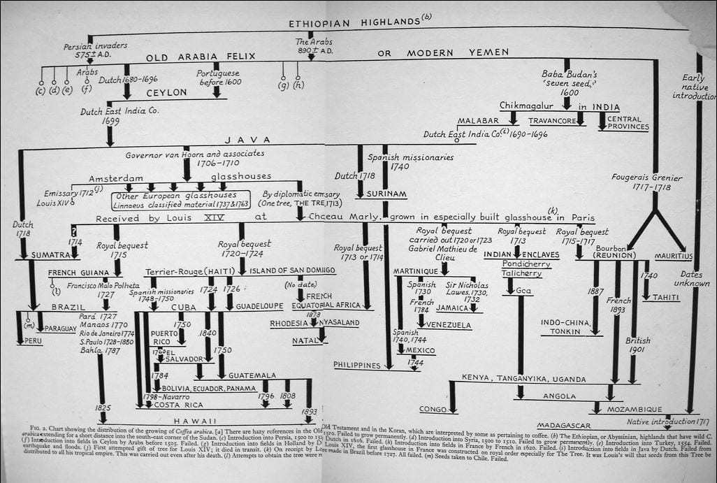 History of coffee chart