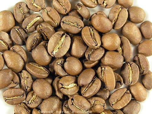 4 Different Types of Coffee Beans Roasts Explained