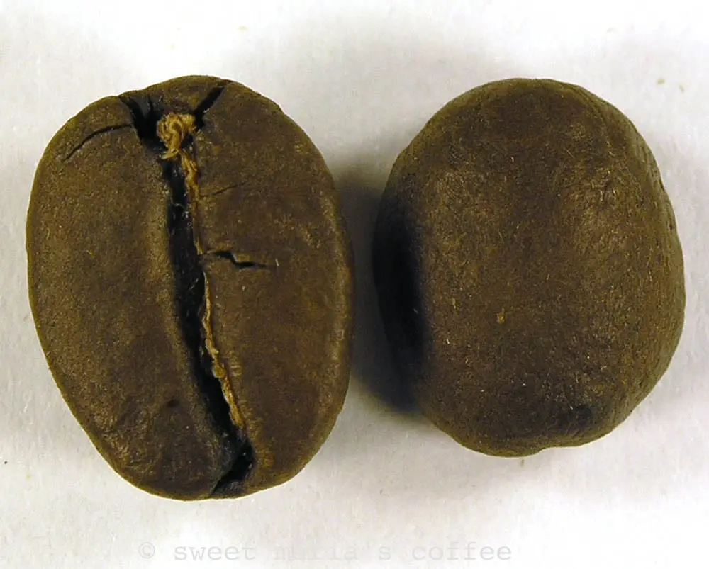 Second Crack - 454 degrees F - Coffee bean macro image during roasting