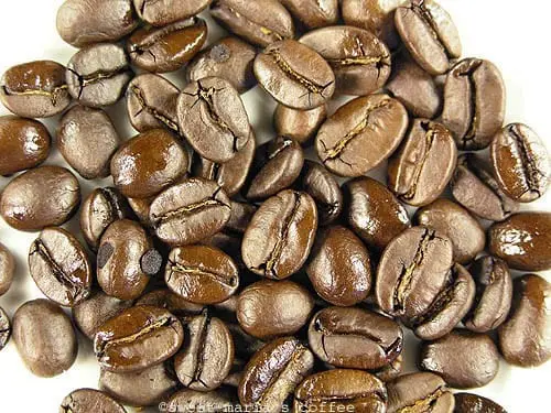 Second Crack End - 474 degrees F - Coffee bean macro image during roasting
