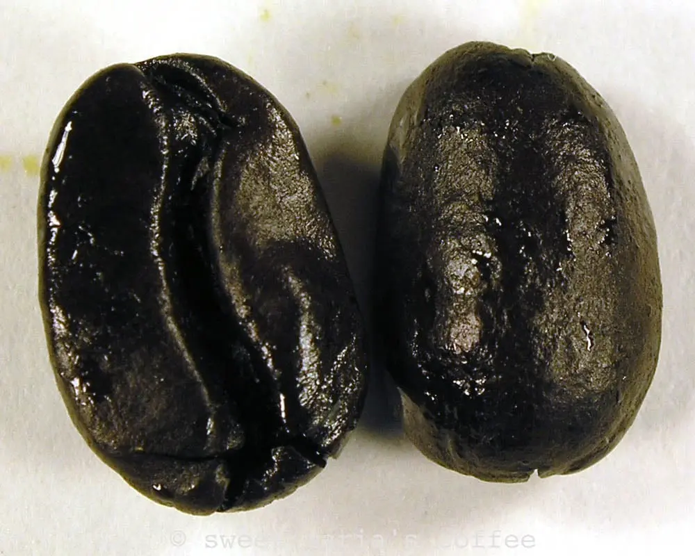 Extremely Dark - 486 degrees F - Coffee bean macro image during roasting