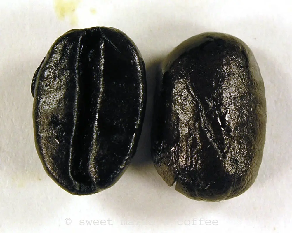 Carbonized, Fire Danger - 497 degrees F - Coffee bean macro image during roasting