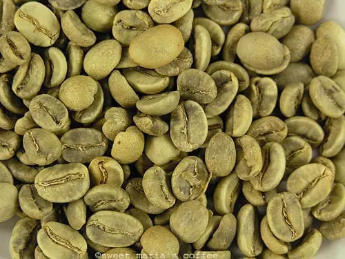 Coffee bean macro image yellowing stage of roasting