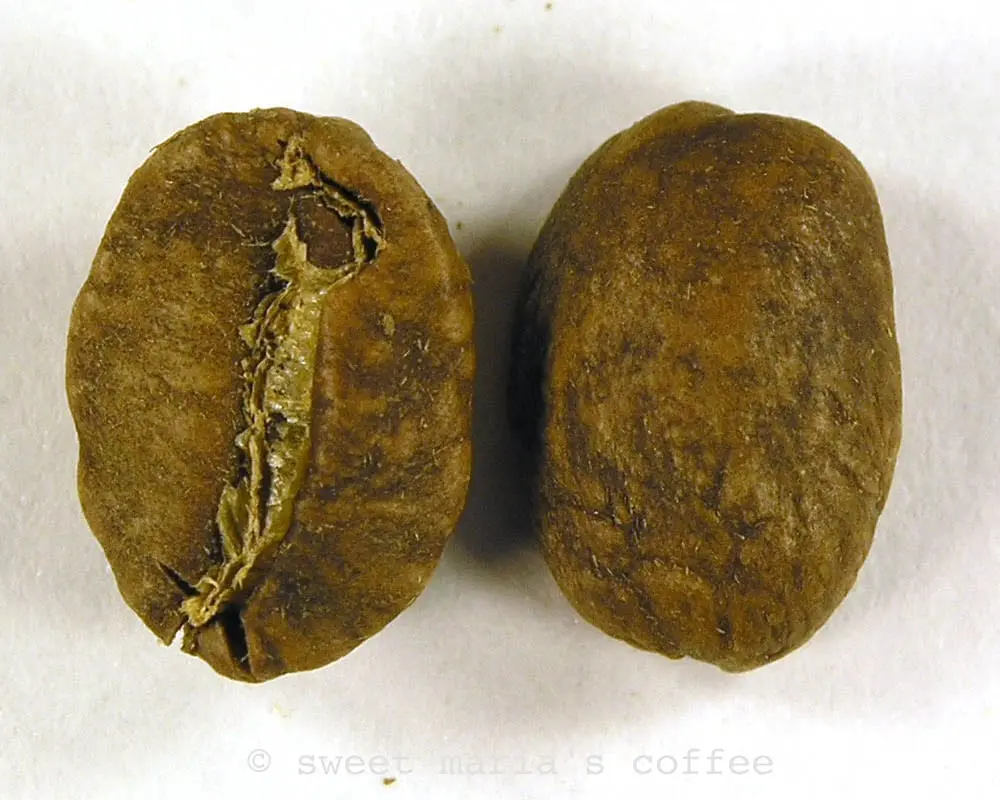 Just before First Crack - 393 degrees F - Coffee bean macro image browning stage of roasting