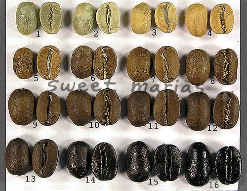 coffee bean chart showing the degree of roast of each stage in the roast process from green to brown to black