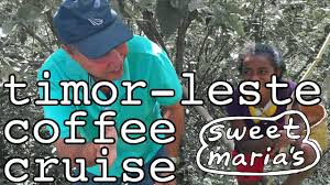 Timor Leste Coffee Cruise