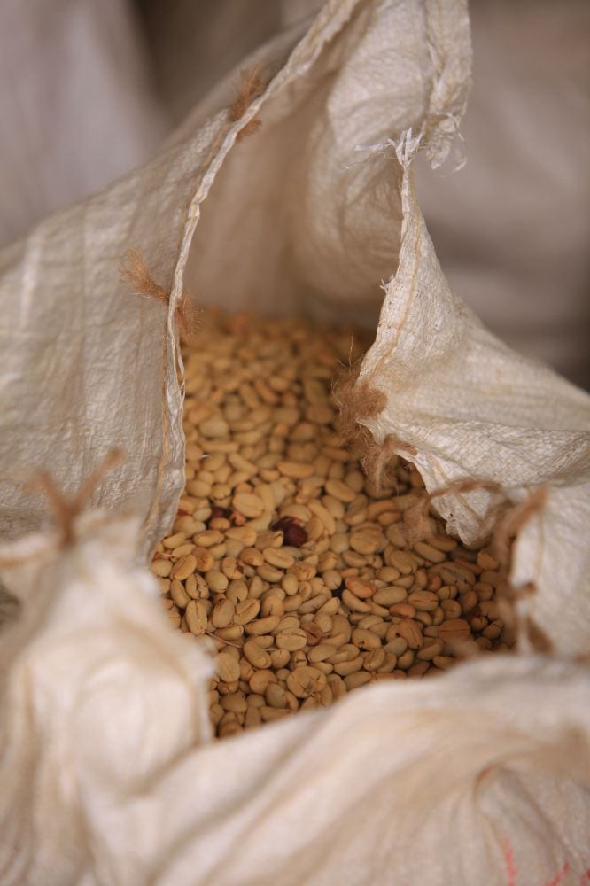 Looking Closer at Coffee: Parchment / Anomalies