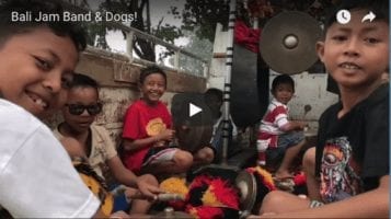 Bali Jam Band & Dogs!