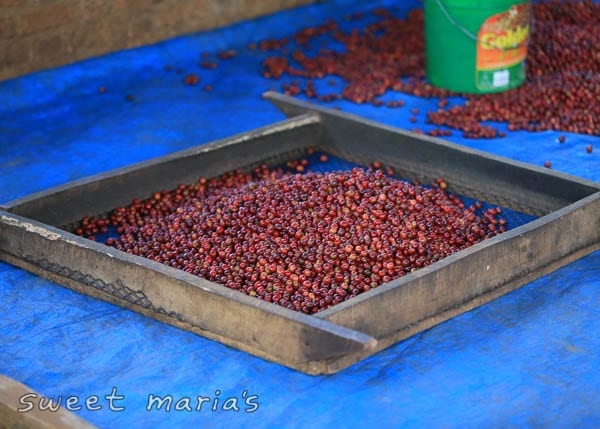 Burundi Blog SM 1