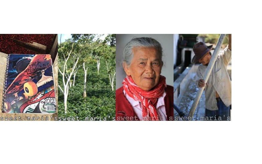 new coffee template 4 thumbs 1