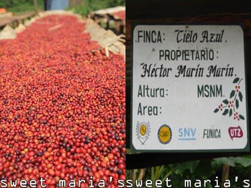 new coffees 0