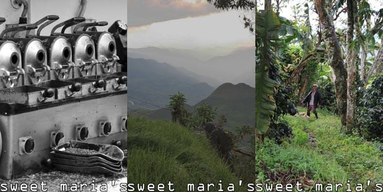 new coffees 12