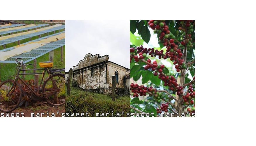 new coffees 17