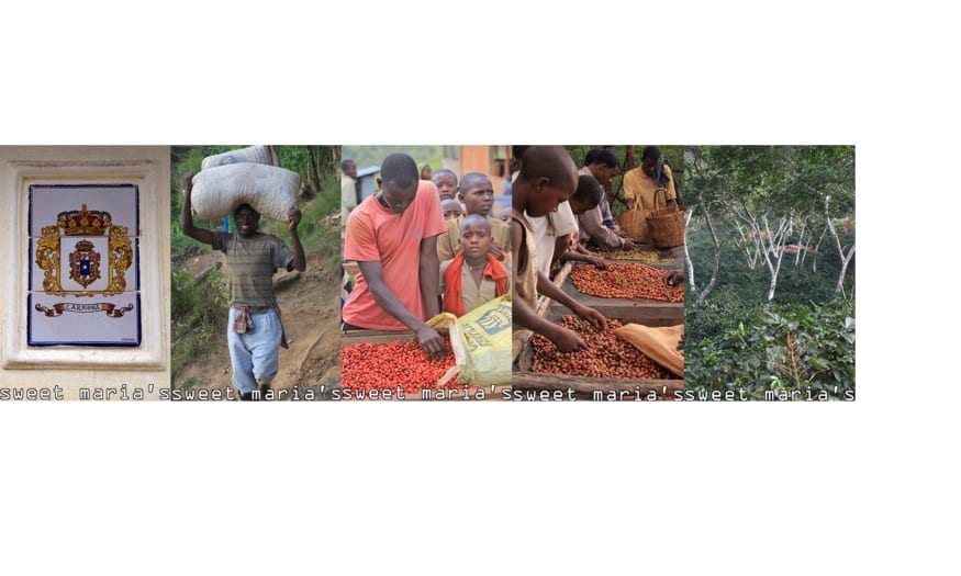 new coffees 18