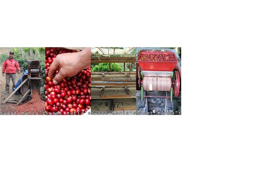 new coffees 23