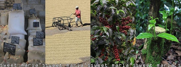 new coffees 5