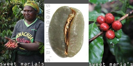 new coffees 6