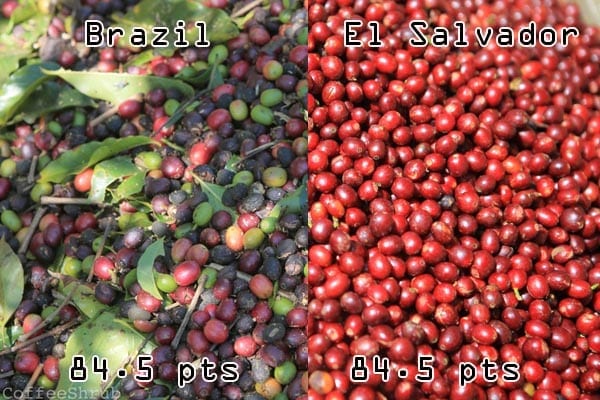 Coffee cherry quality, low and high quality