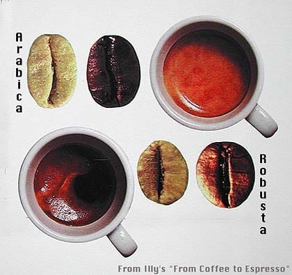 Espresso-arabica versus robusta graphic