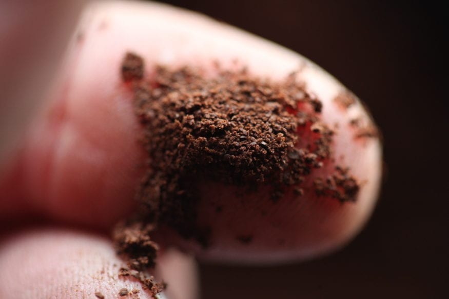 Espresso The Grind Sweet Maria's Coffee Library