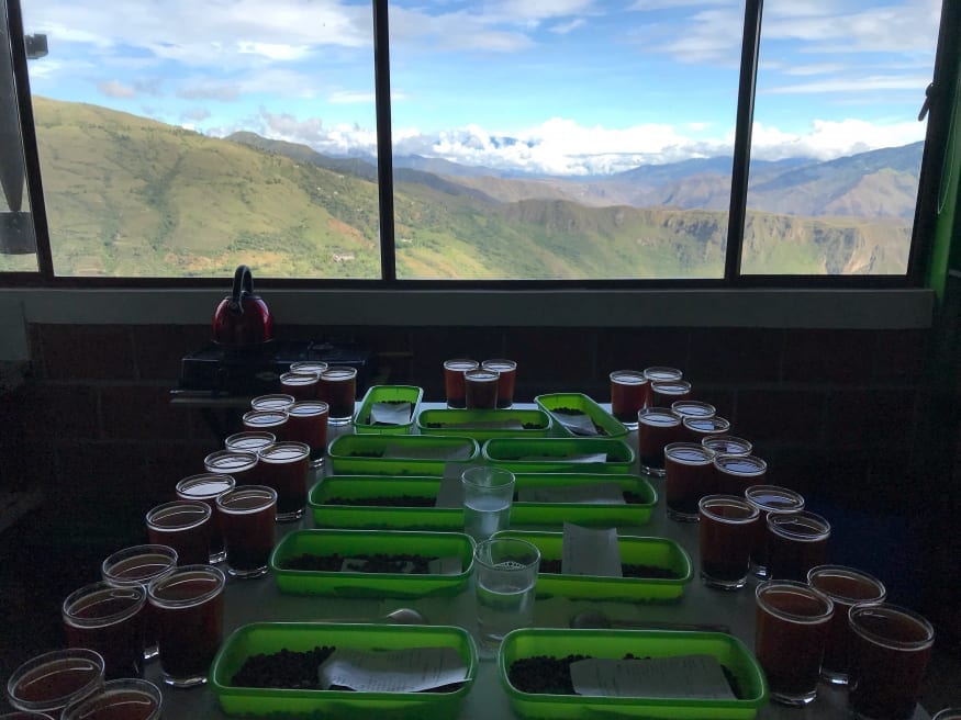 cupping table of Alianza coffee association
