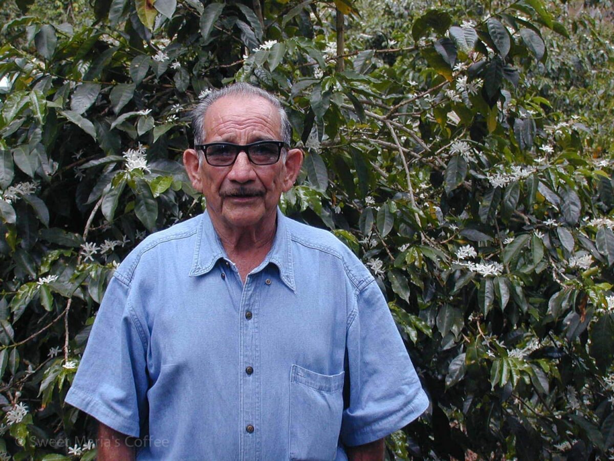 Panama Cupping Competition 2002, Boquete, Chiriqui, Panama - Sweet ...
