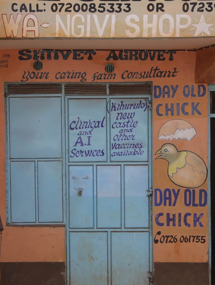 Selling Chicks, Kenya