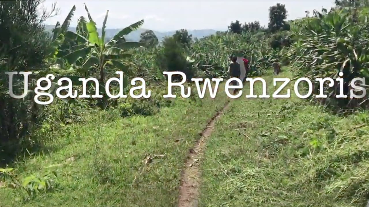 Uganda Coffee Journey: Uganda Go To The Rwenzoris