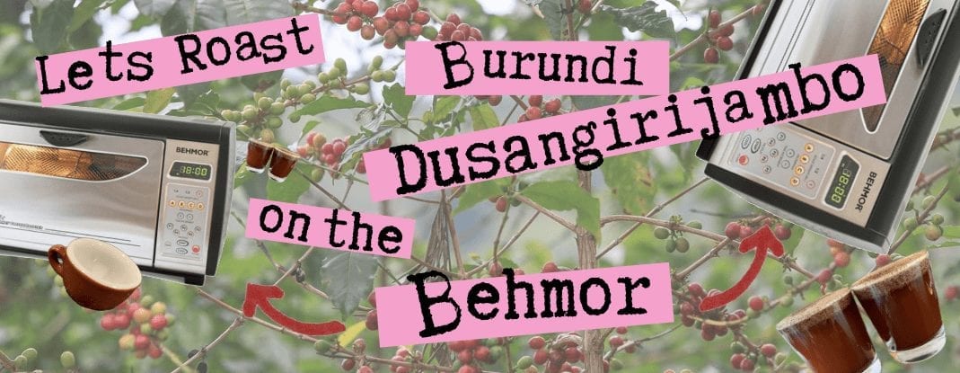 Behmor Roast Profile: Burundi Kayanza Dusangirijambo Coop