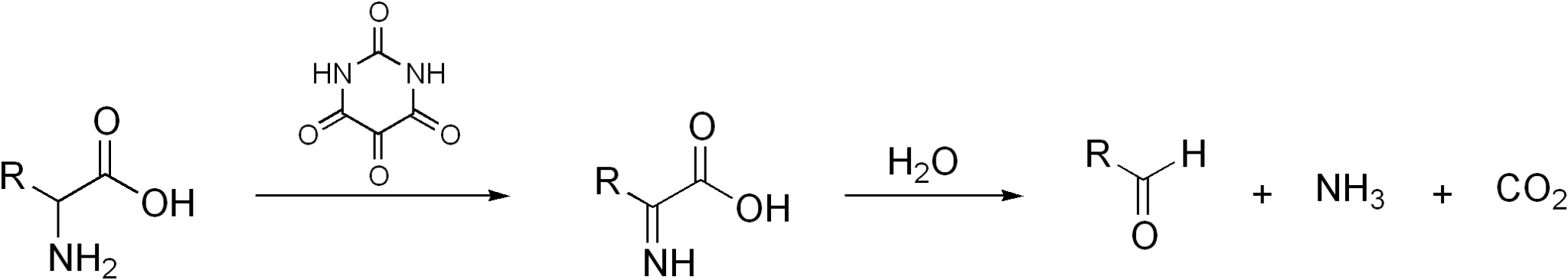 Strecker Degradation - Sweet Maria's Coffee Library