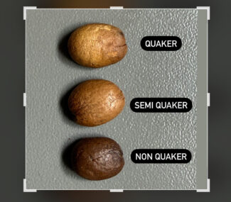 Quaker-Defect-Colombia