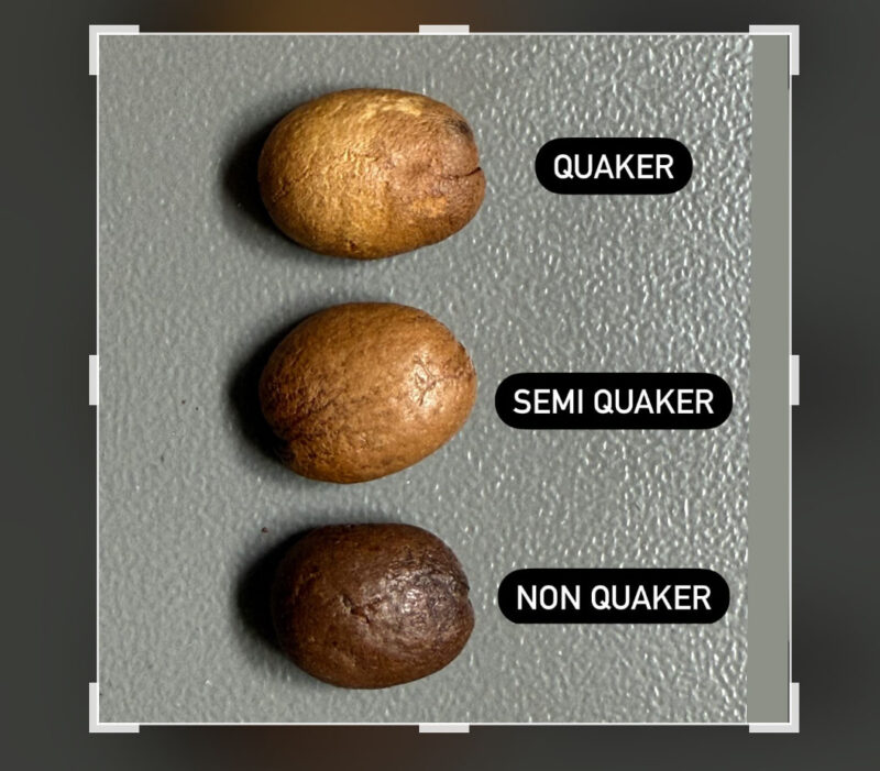 Quaker-Defect-Colombia