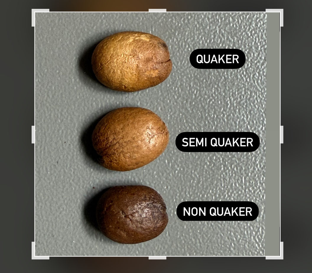 Quaker-Defect-Colombia