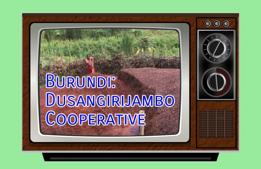 Video: Visiting Dusangirijambo, a Burundi Coffee Cooperative