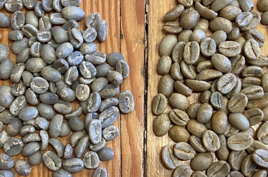 dry processed washed coffee