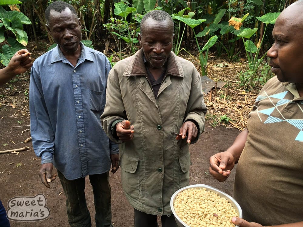 Emile , coffee farmer, Congo