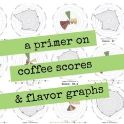 A primer on Green coffee cupping scores and flavor graphs