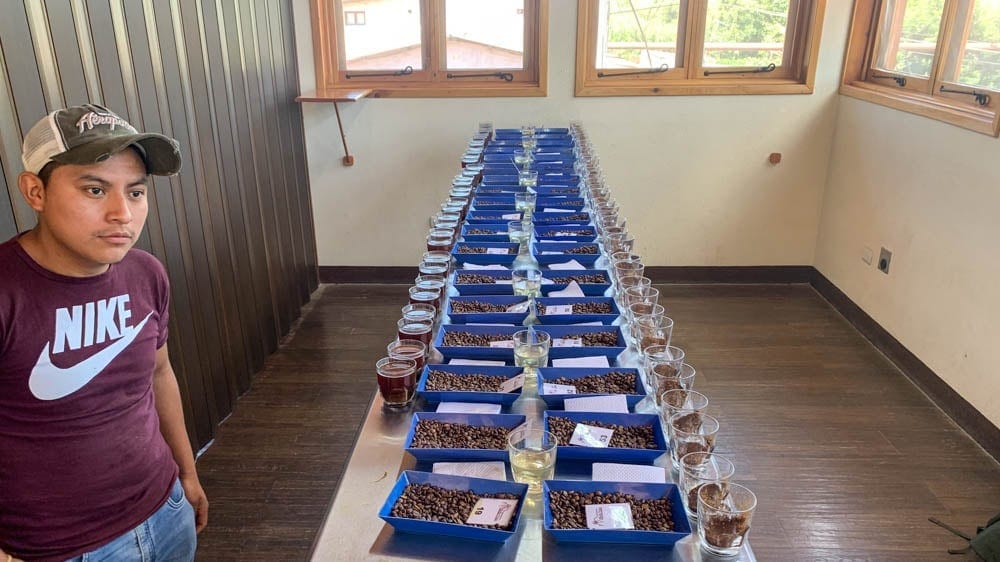 Cupping roasted coffee samples at Bella Vista coffee mill in Antigua Guatemala