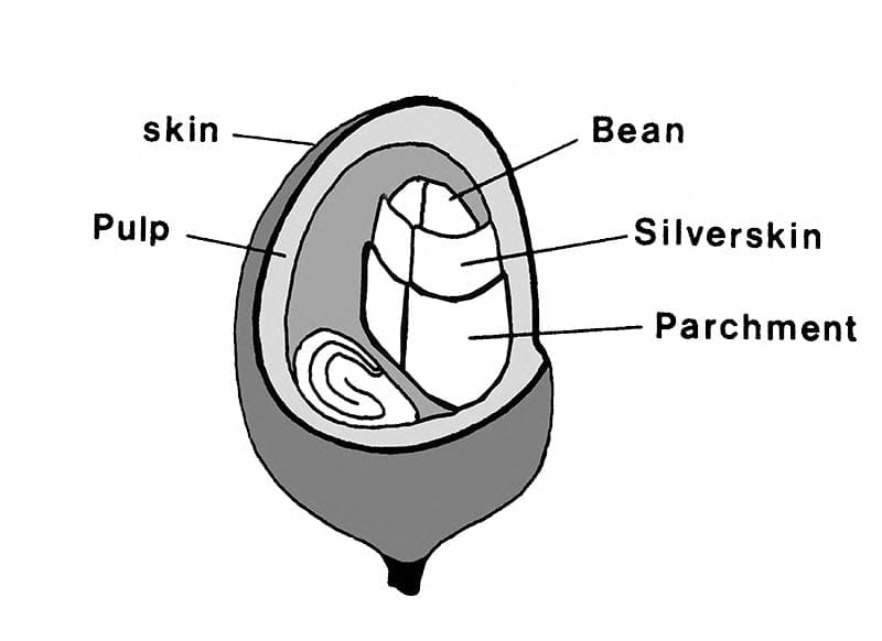 [DIAGRAM] Pop Cherry Diagram - WIRINGSCHEMA.COM