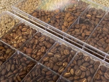 Degree of Roast Set for Coffee Beans