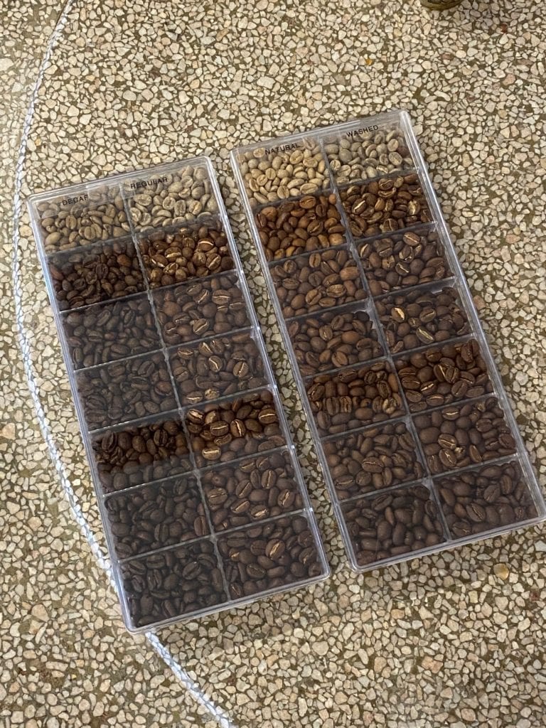 A homemade roast color calibration kit I made with bead / crafting containers and samples representing the degree of roast from green to Full City+