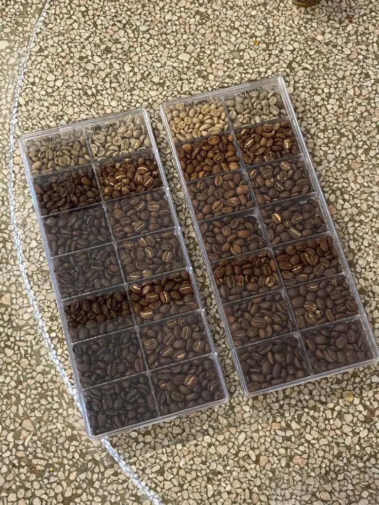 A homemade roast color calibration kit I made with bead / crafting containers and samples representing the degree of roast from green to Full City+