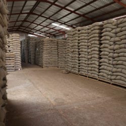 Burundi Coffee and the Global Coffee Market: When Quality Coffee Isn't the Fix