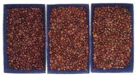Roast batches from Hot Top Coffee Roaster 