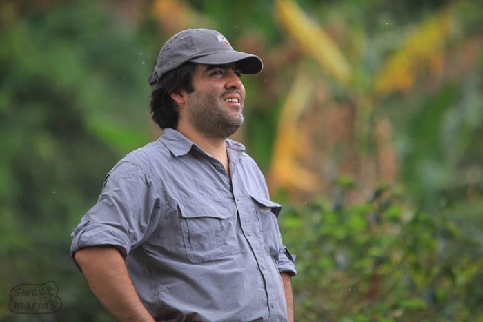 Alejandro gazes out over the coffee lands with a feeling of great satisfaction Sweet Marias