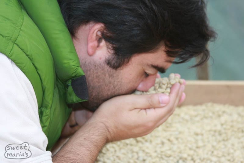 Alejandro sniffing coffee parchment Sweet Marias