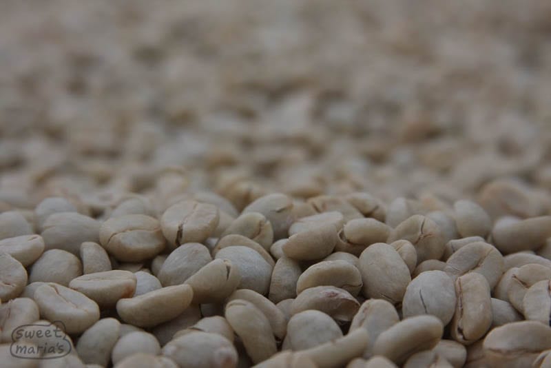 Coffee parchment Huila Colombia Sweet Marias