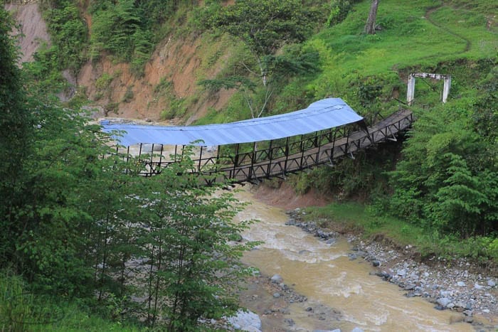 Hanging Bridge Tolima Sweet Marias