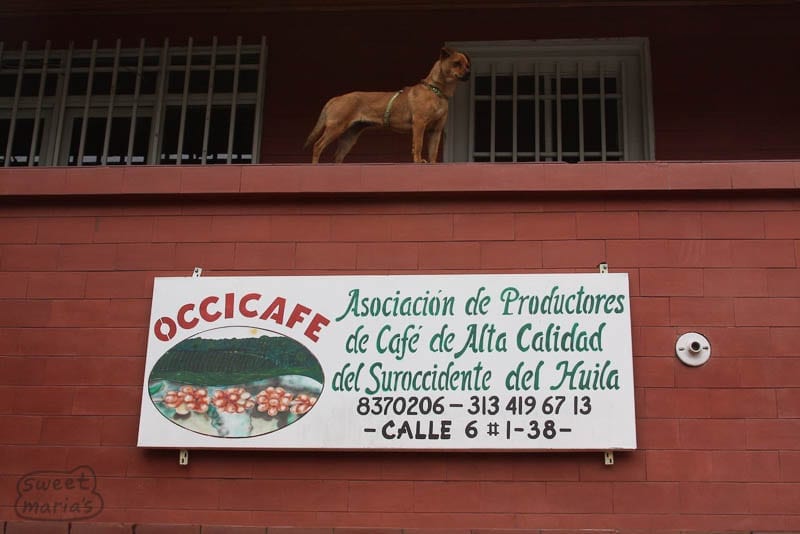 Occicafe main office La Plata. Sweet Marias