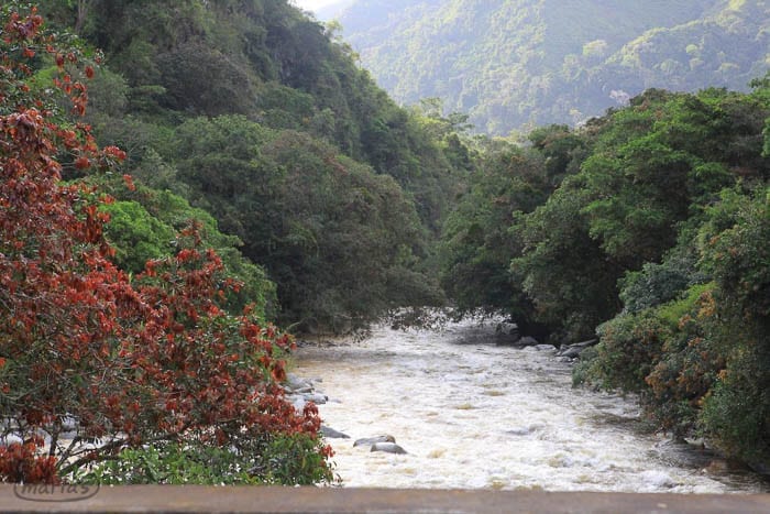 River near Herrera Tolima a beautiful valley. Sweet Marias